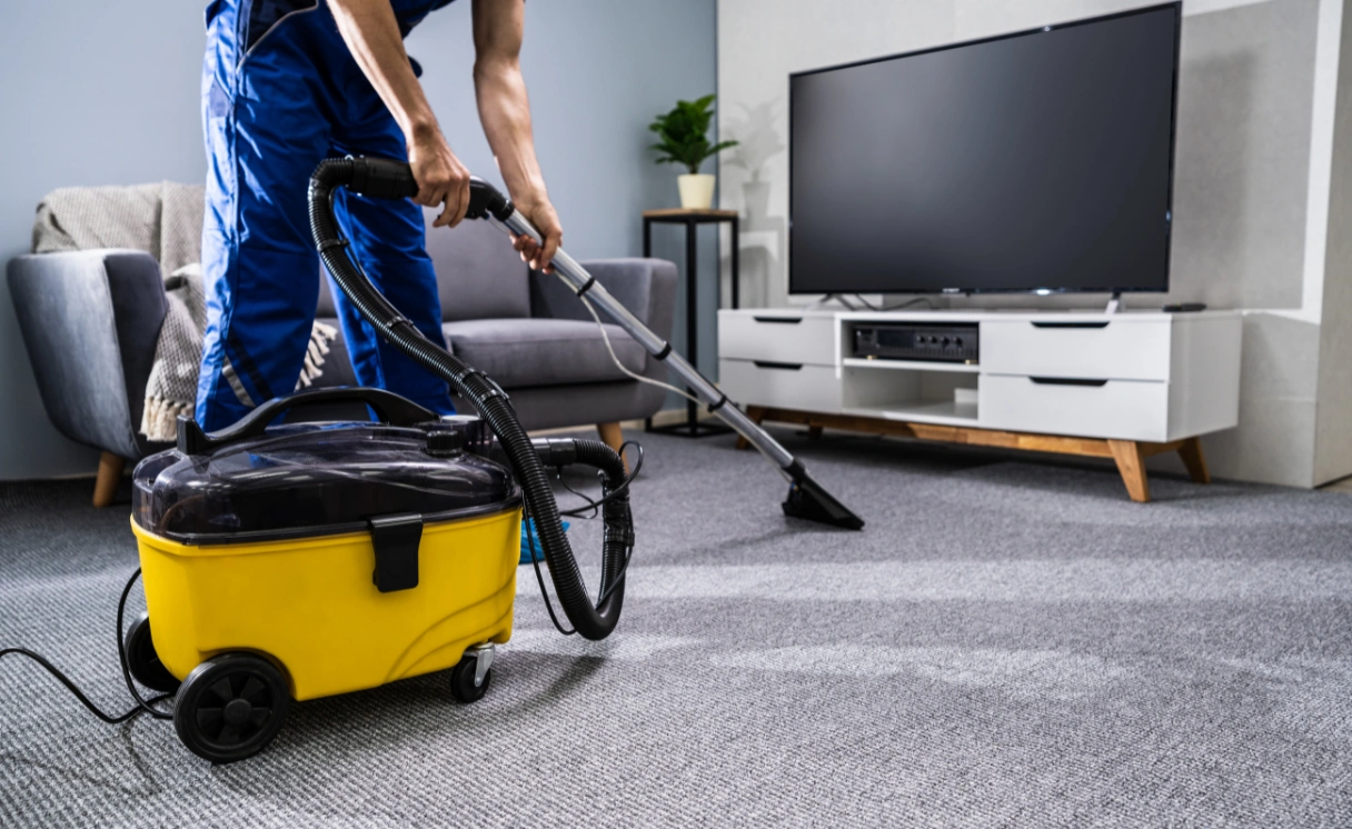 Extract Curtain Cleaning Mount Toolebewong Contact Office